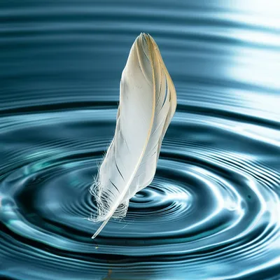 Illustration floating - Image 1