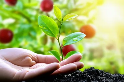 Illustration enabling