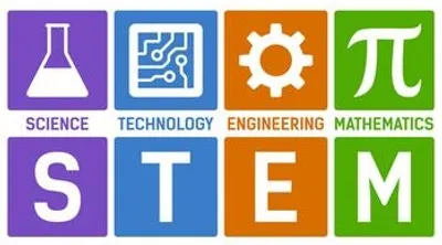 Illustration stem - Image 2