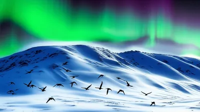 Illustration northerly - Image 1