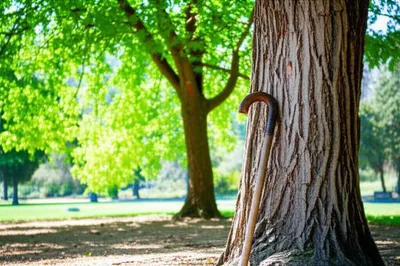 Illustration crippled - Image 1