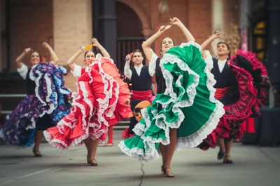 Illustration canaries - Image 1