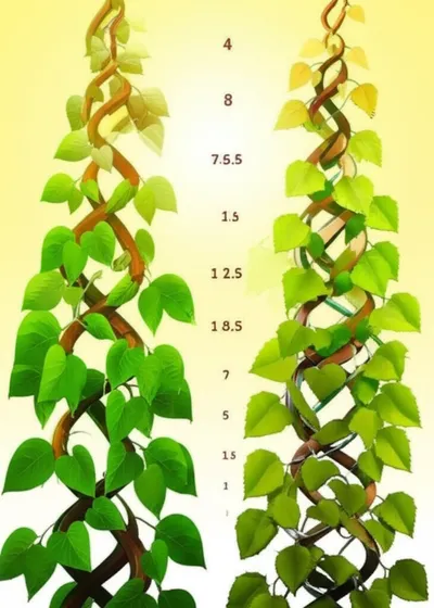 Illustration linker - Image 1