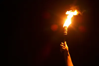 Illustration brand - Image 1