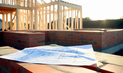 Illustration facts - Image 1