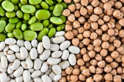 Illustration beans - Image 1
