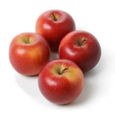 Illustration plurals - Image 1