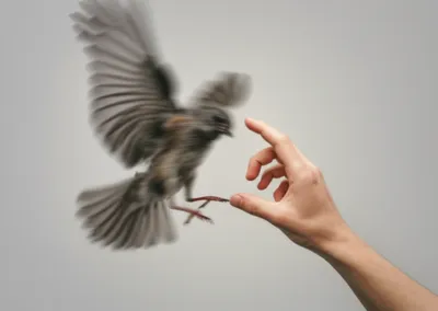 Illustration apprehension