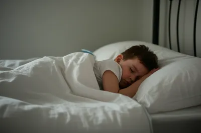 Illustration sheeted - Image 1