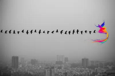 Illustration scheme - Image 1