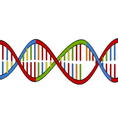 Illustration var. - Image 1