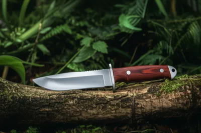 Illustration rambo - Image 1