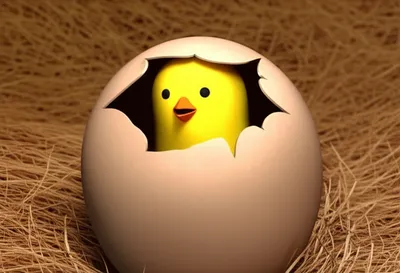 Illustration hatch - Image 1