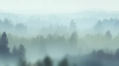 Illustration gauze - Image 1