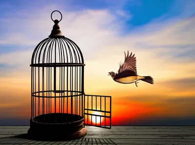 Illustration departs - Image 1