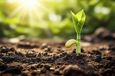 Illustration spring - Image 1