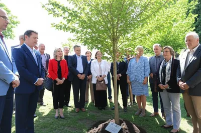 Illustration commemorated