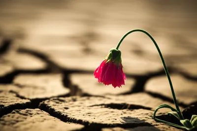 Illustration kills - Image 1