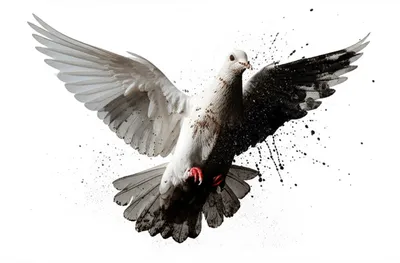 Illustration blacken - Image 1