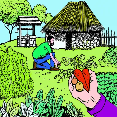 Illustration subsistence - Image 1