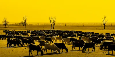 Illustration surcharged - Image 1