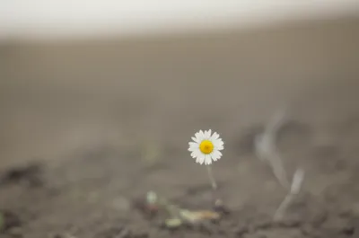 Illustration jest - Image 1