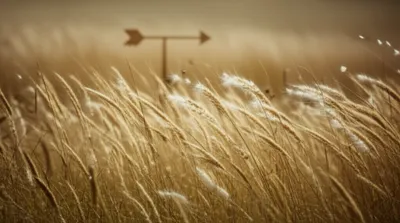 Illustration downwind - Image 1