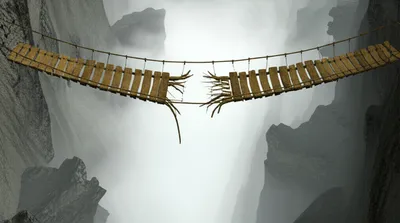 Illustration perils - Image 1