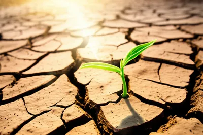 Illustration fomentation - Image 1