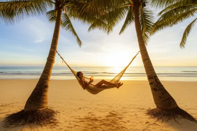 Illustration pleasuring - Image 1