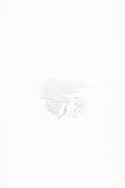 Illustration erasure - Image 1