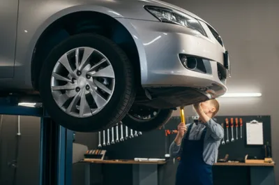 Illustration warrants of fitness - Image 1