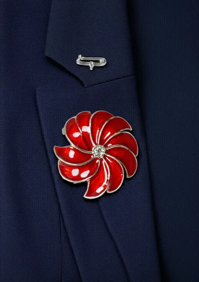 Illustration brooches