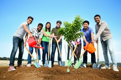 Illustration honoring - Image 1