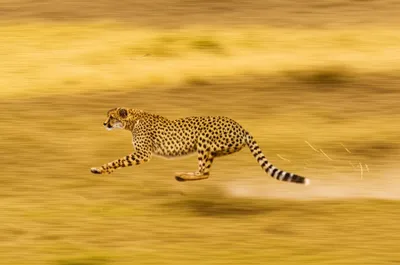 Illustration fastness - Image 1