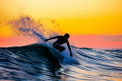 Illustration ripping - Image 1