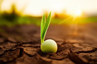 Illustration come - Image 1