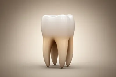 Illustration cuspids - Image 1