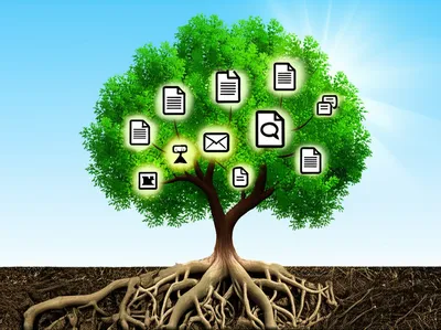 Illustration paperless