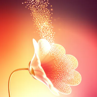 Illustration cum - Image 1