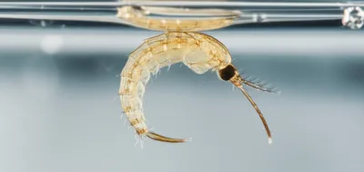 Illustration tumbler - Image 1