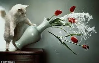 Illustration upset - Image 4