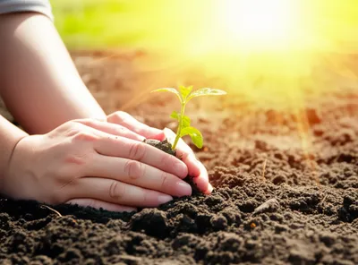 Illustration gives - Image 1