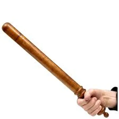 Illustration sap - Image 2