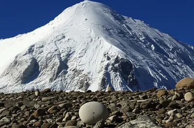 Illustration elevates - Image 1