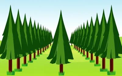 Illustration forestry - Image 1