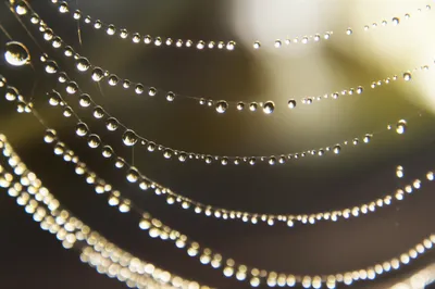 Illustration shining - Image 1