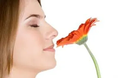 Illustration smell - Image 2