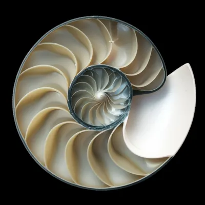 Illustration spire - Image 1