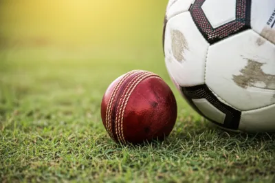 Illustration leather - Image 1